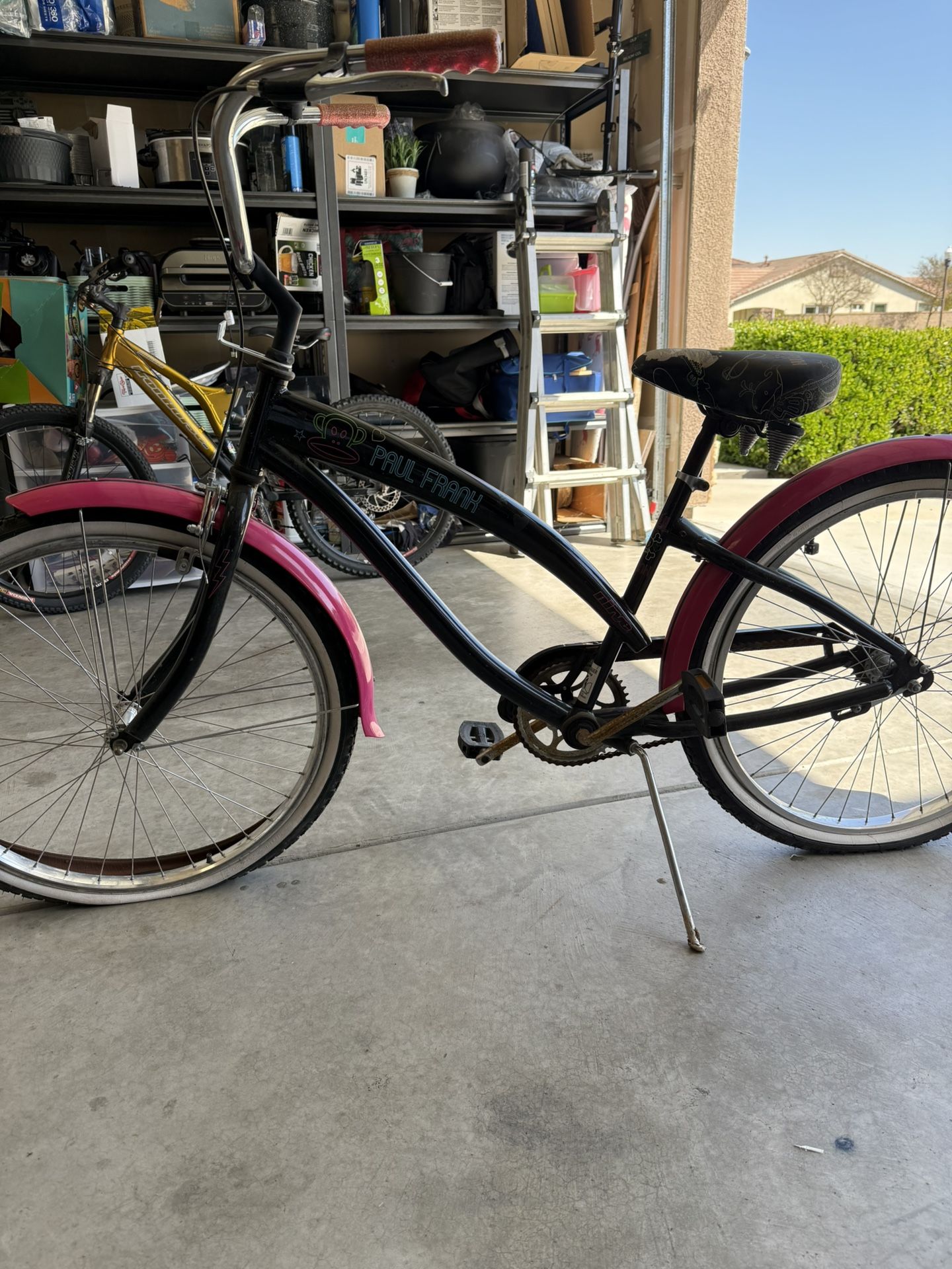 Nirve Paul Frank Cruiser