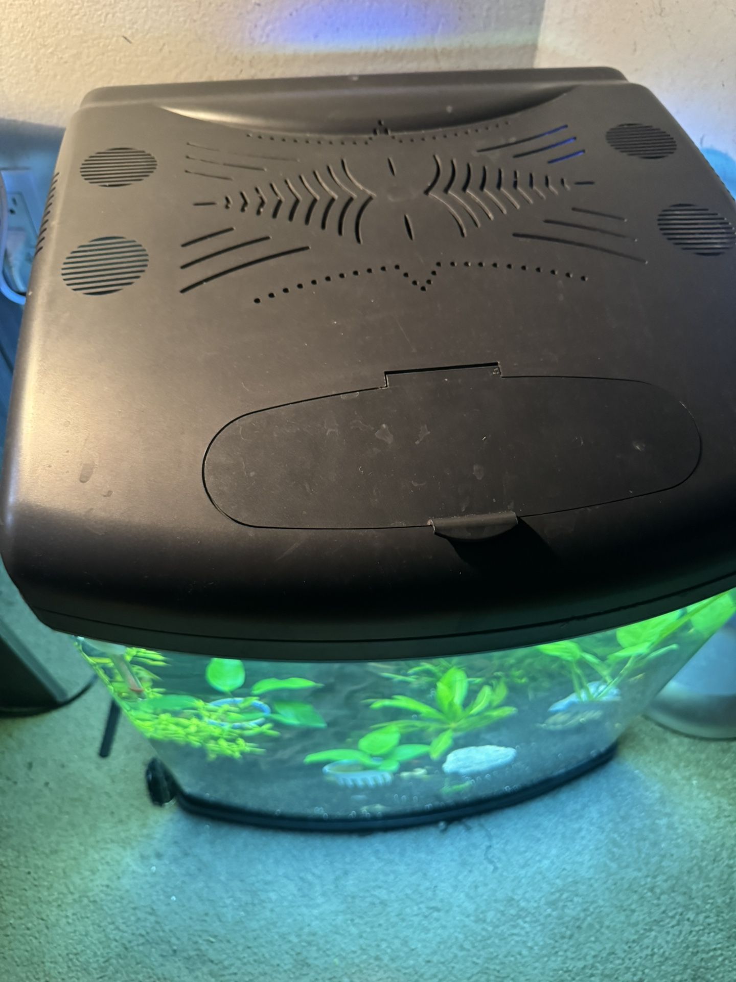 30 Gallon Fish tank