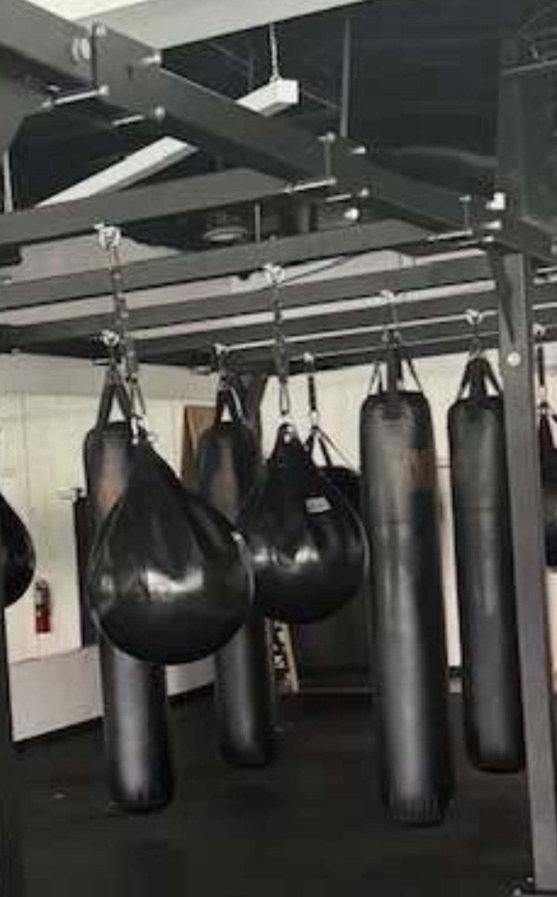 2 Aqua Punching Bags