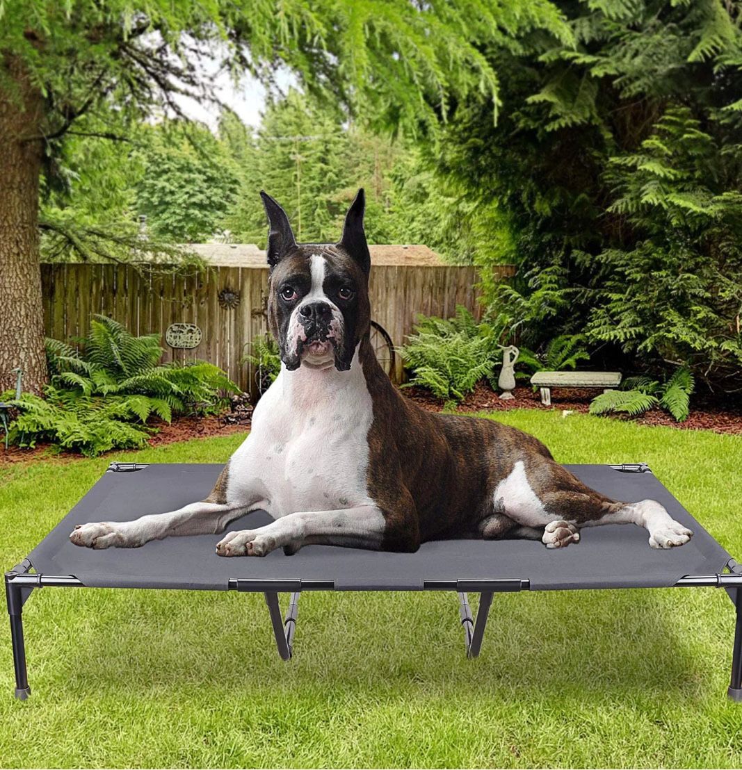 Large Elevated Dog Bed