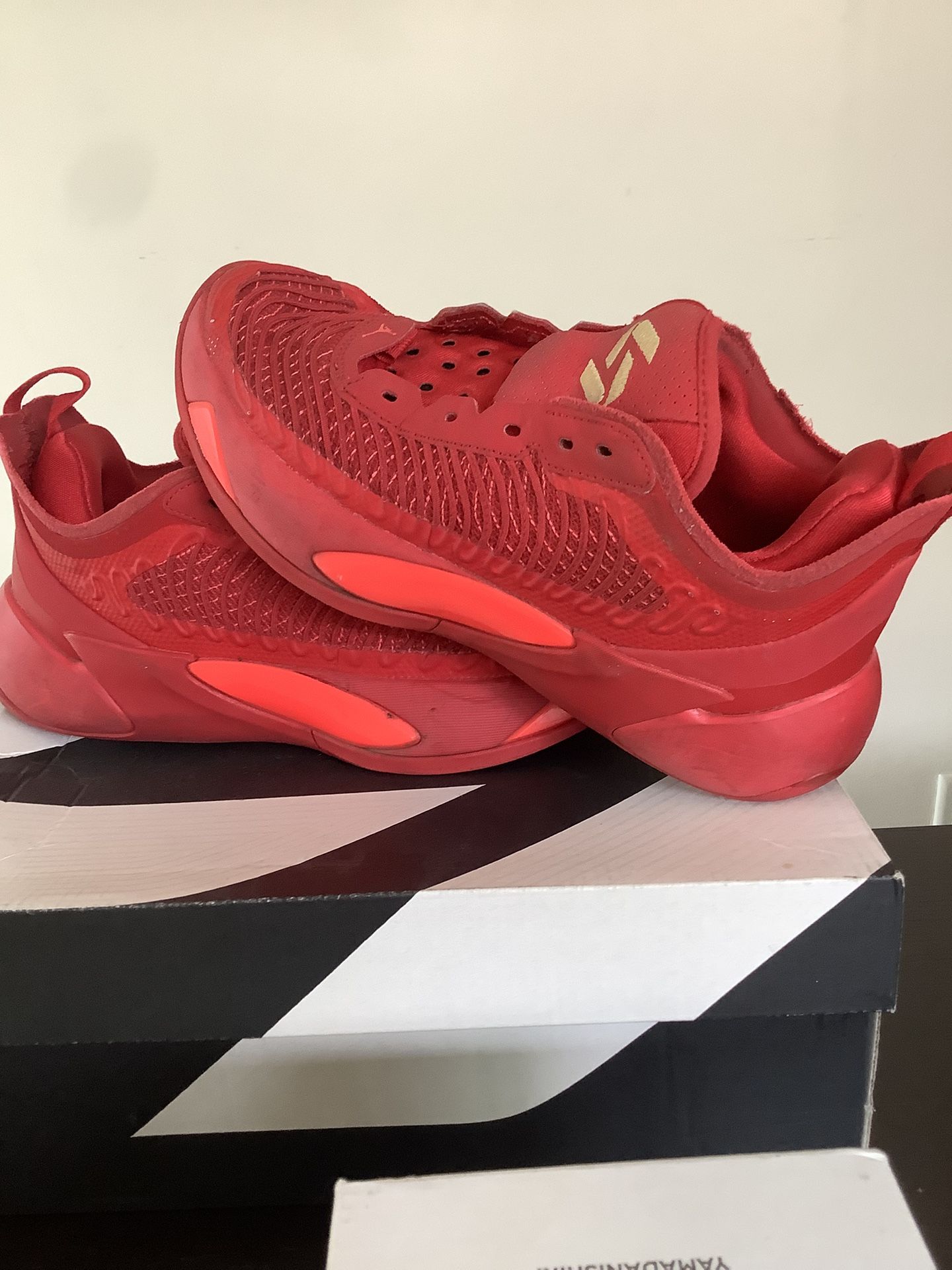 Jordan Luka 1 GS