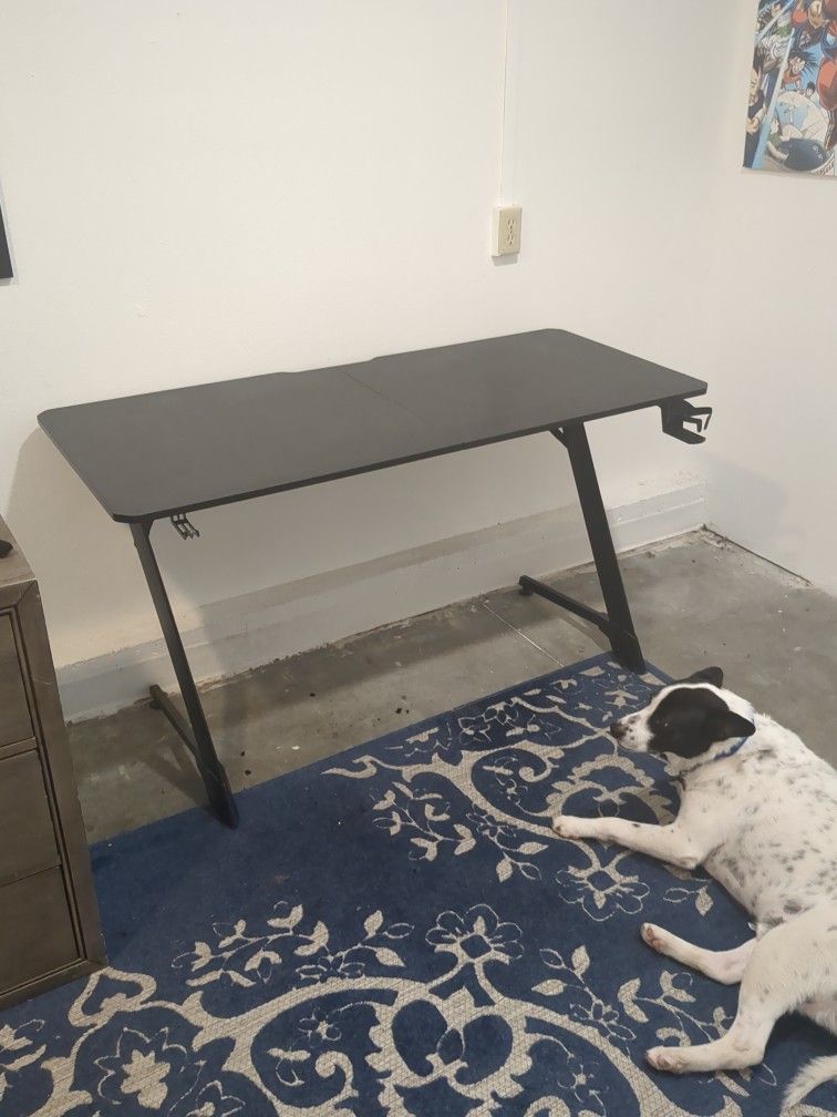 Gaming Desk $30