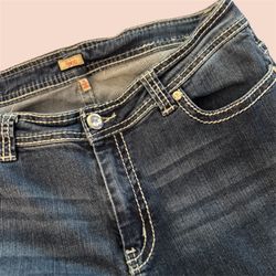 Like New Reba “Lupita” Skinny Jeans Women’s Size 14 28” Inseam