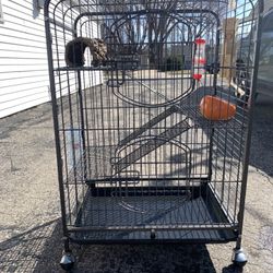Multiple Level Rat Cage