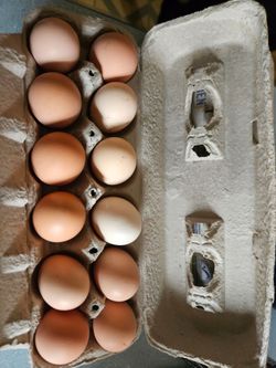 Farm fresh egg sale!