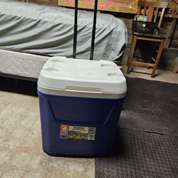 Medium Blue Igloo  Cooler (4 Day Ice Retention )
