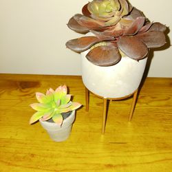 Set Of 2 Beautiful Artificial Succulents 
