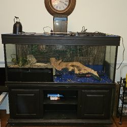 Fish Tank Or Reptile 