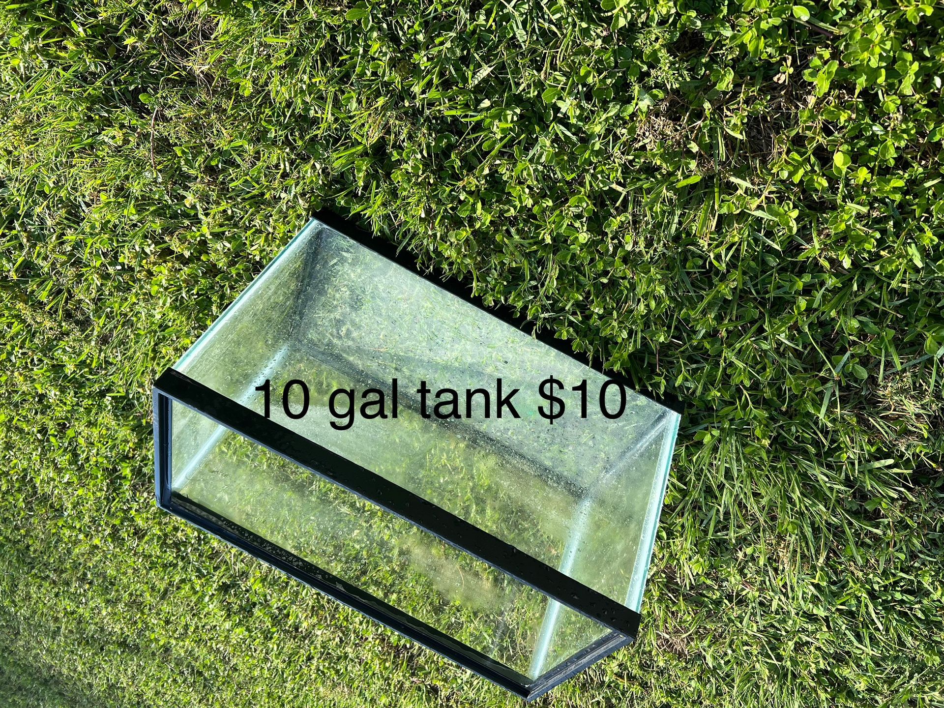 Fish Tanks And Things. Price In Photos