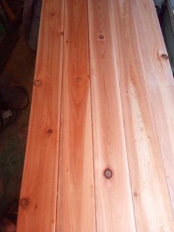 Cedar