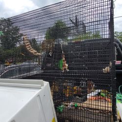 Huge Bird Mansion House!