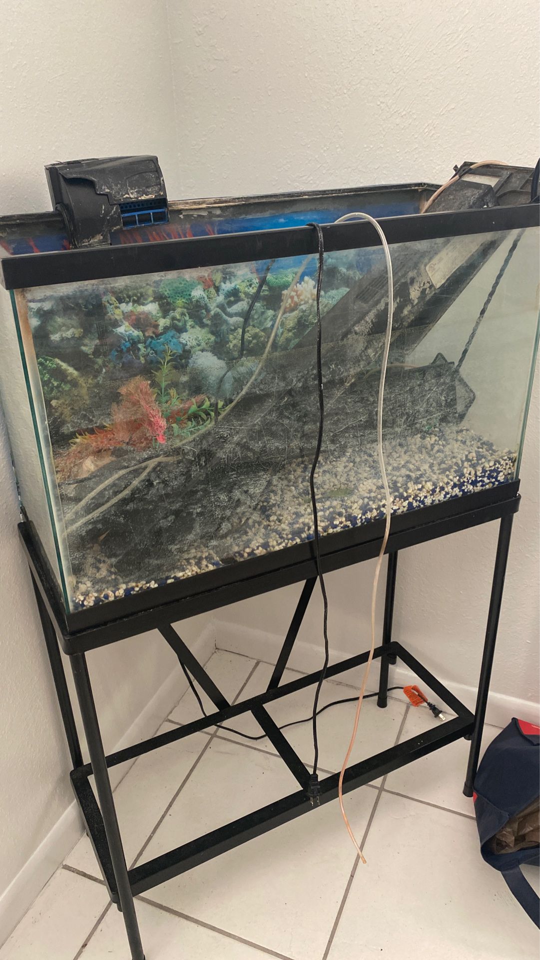 Fish / reptile 30 gallon tank