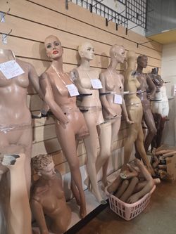 Mannequin's
