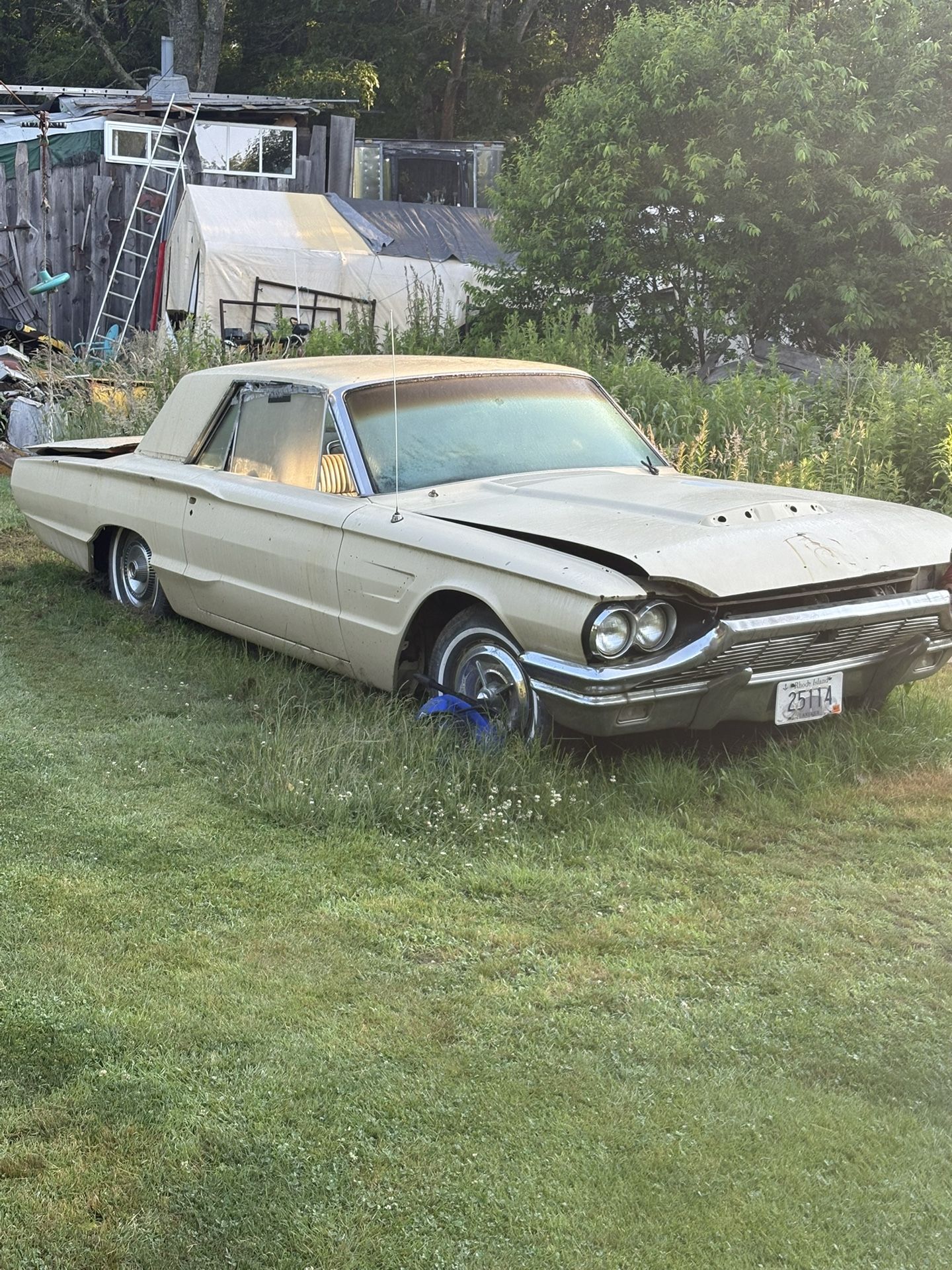 1965 T Bird