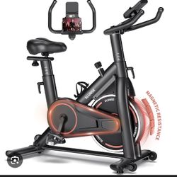 Slunse Exercise Bike 