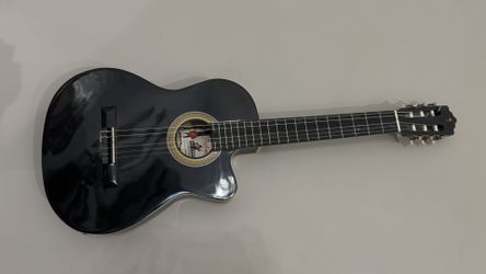Palmer Acoustic-Electric guitar