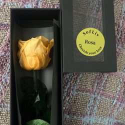 Preserved/ Fake Rose