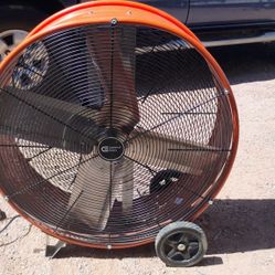 Shop Fan