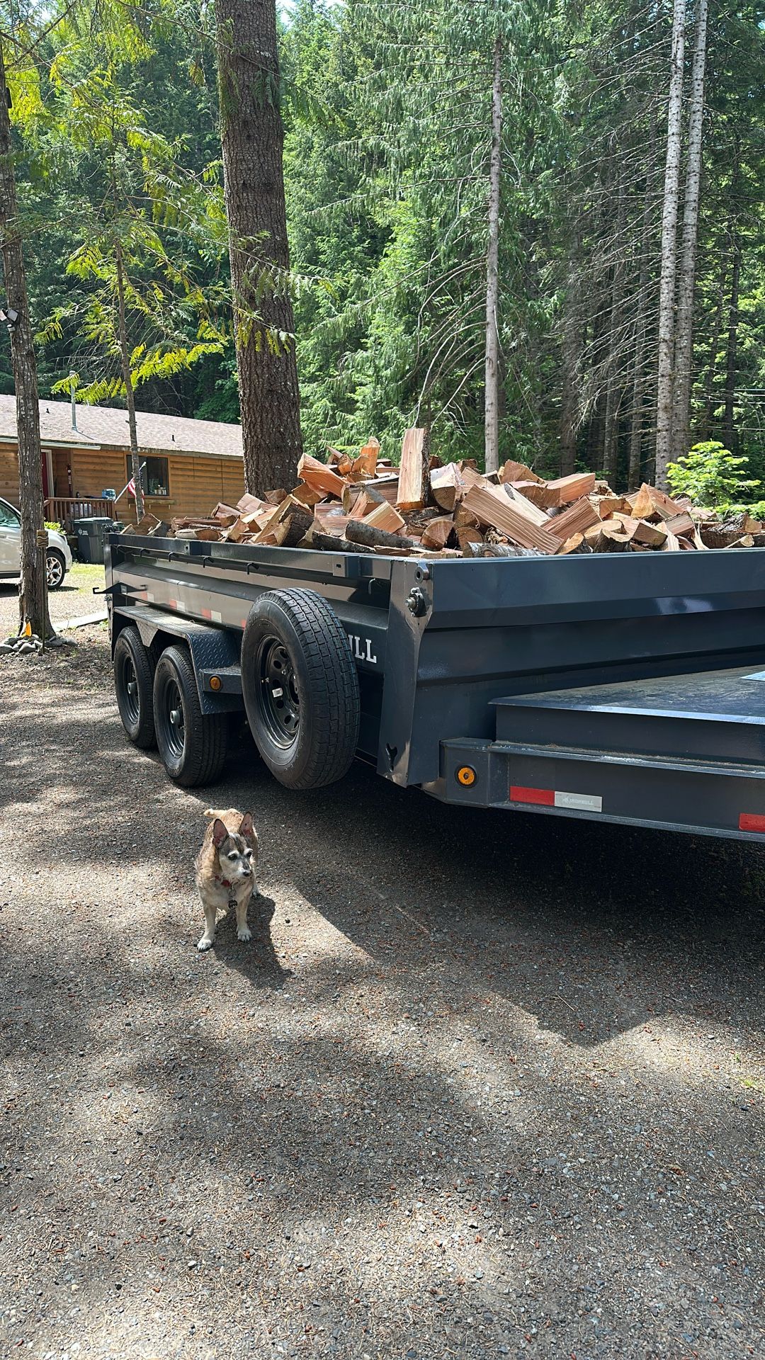 Firewood For Sale Greenwater Only! !! $350/Cord (or Service Charge For Other Areas