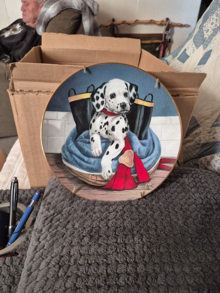 This Is A Collection Plate. On The Back Said Pup In Boots. 1993