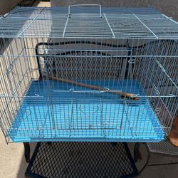 Bird Cage