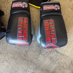 Triumph United Muay Thai Gloves