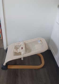 Baby Bouncer