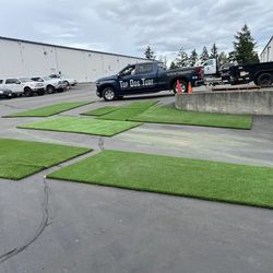 Synthetic Grass $1 PSF > 100 Sqft
