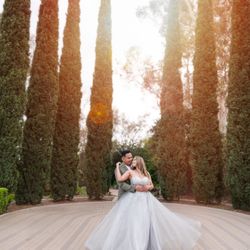 Engagement/Quinceañera/wedding Dress