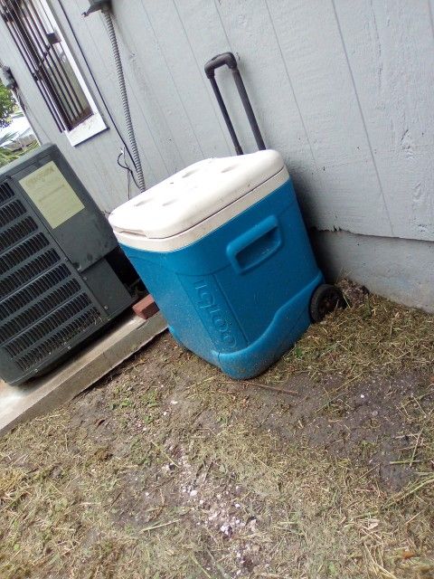 Igloo Ice Cube