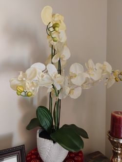 Faux Orchids