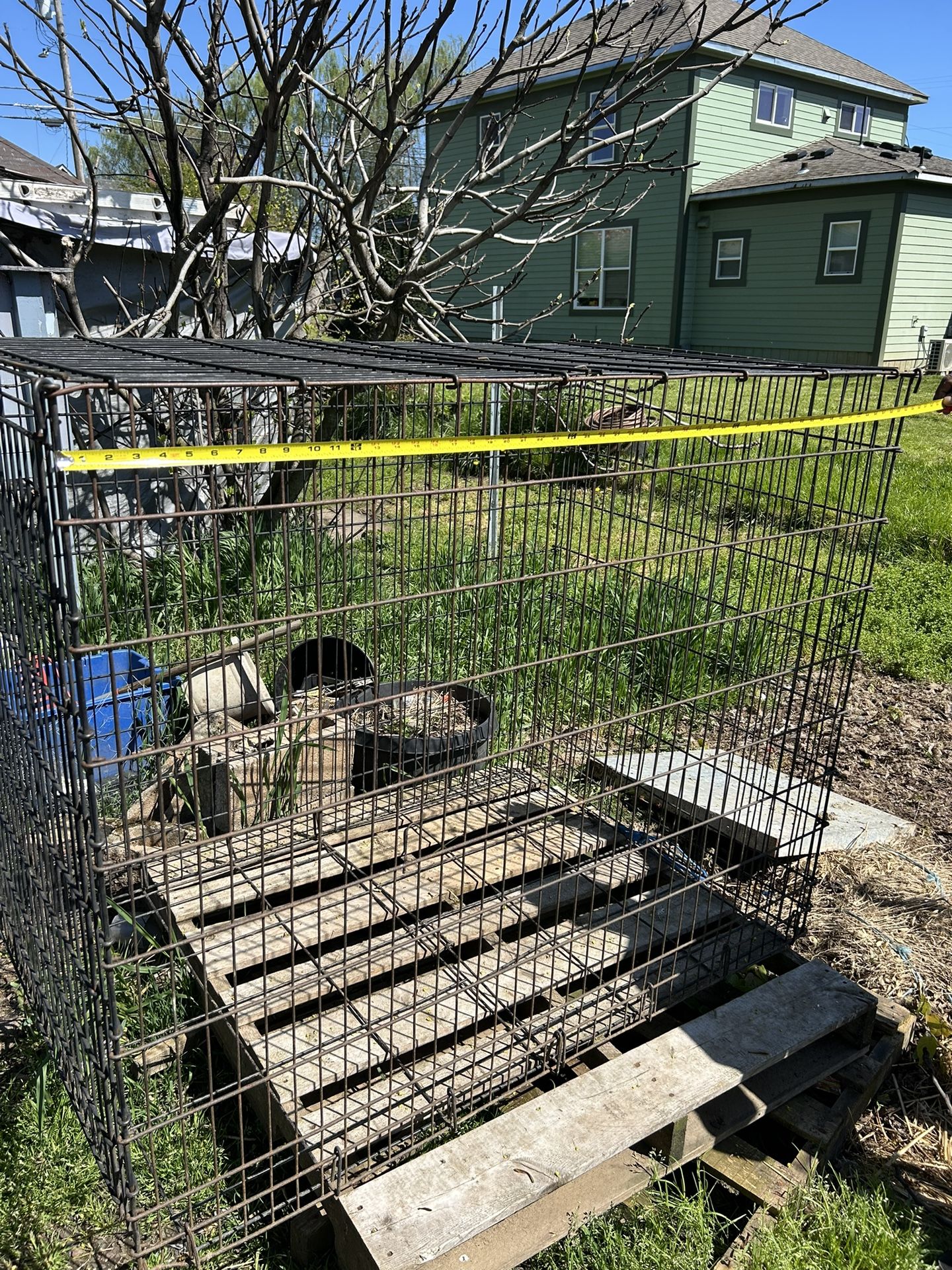 Large Animal Kennel