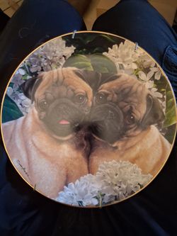Decorative Pug Collector Plate with Gold Rim