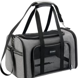 Soundy pet carrier