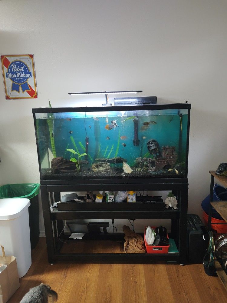 65g Tall Fish Tank