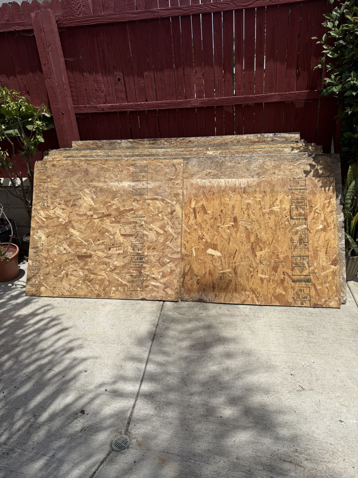 Plywood Half Inch 12 Sheets