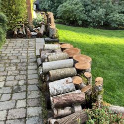 Free Firewood
