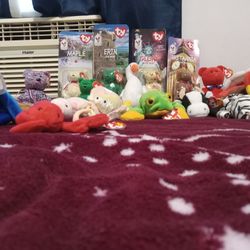 Beanie Babies 1980s - Early 2000's