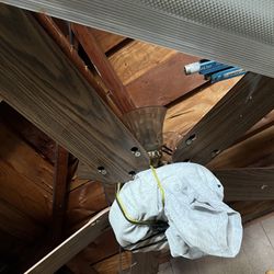 Ceiling Fan With Lights