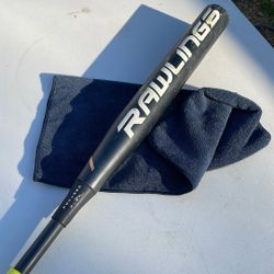 Fastpitch Bat