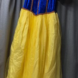 Snow White Adult Costume