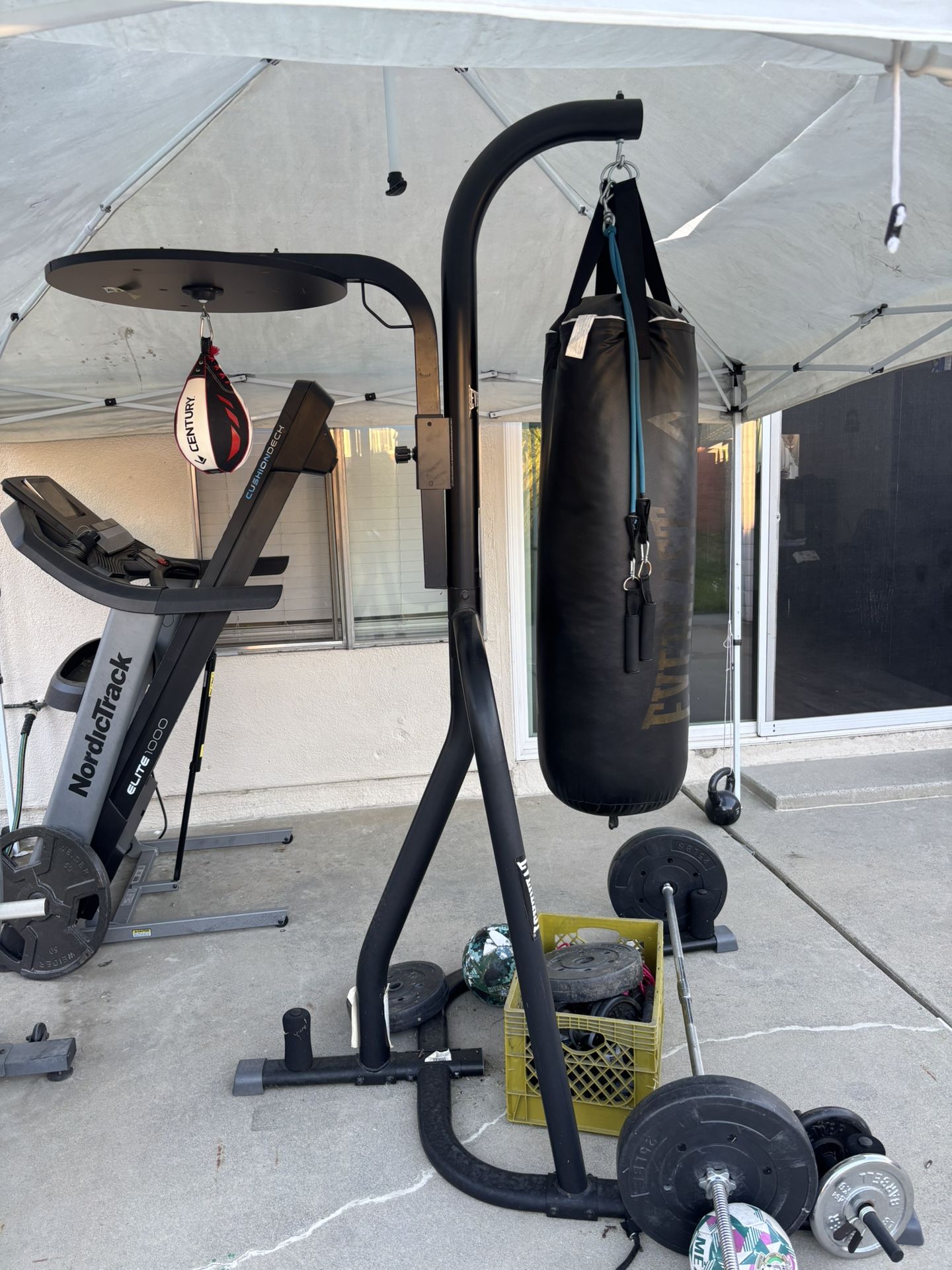 Everlast Punching Bag