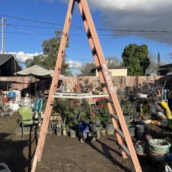 Werner 10 Ft Ladder 
