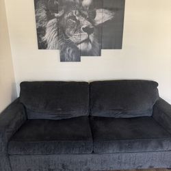 Sofa Bed Like New