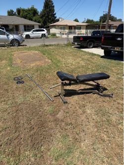 Free weights