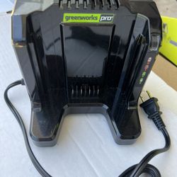 Greenworks Charger 60 Volt 