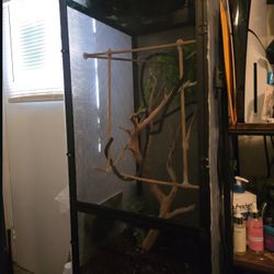 terrarium for Reptile