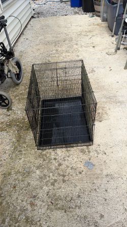 Birdcage