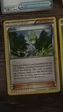 Wally Supporter Pokemon Card