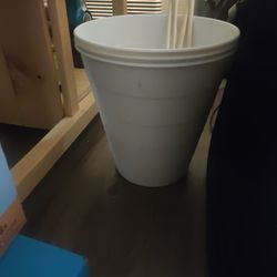 White Plastic pot/Trash Can
